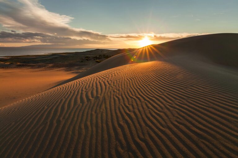 Die Sonne geht über einer Düne in der Wüste auf.